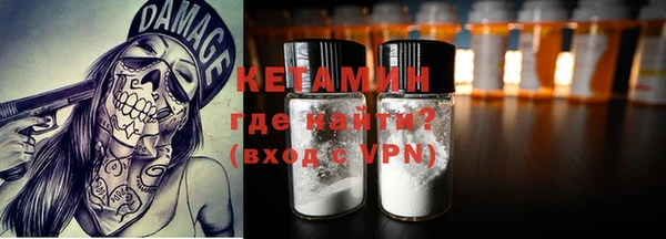шишки Новозыбков