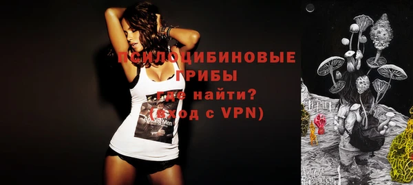 не бодяженный Няндома