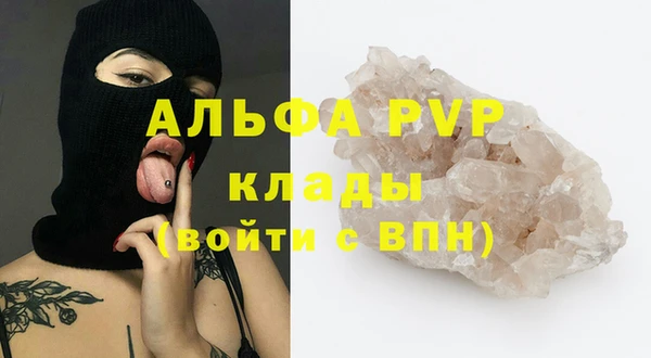 шишки Новозыбков