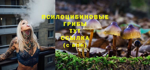 дурь Нефтекумск
