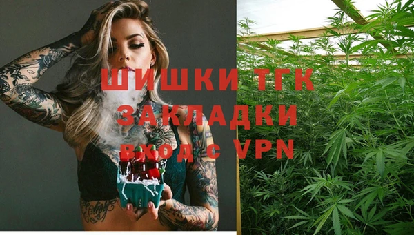 шишки Новозыбков