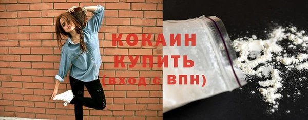 шишки Новозыбков