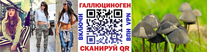 дарнет шоп  Богучар  Псилоцибиновые грибы мухоморы 